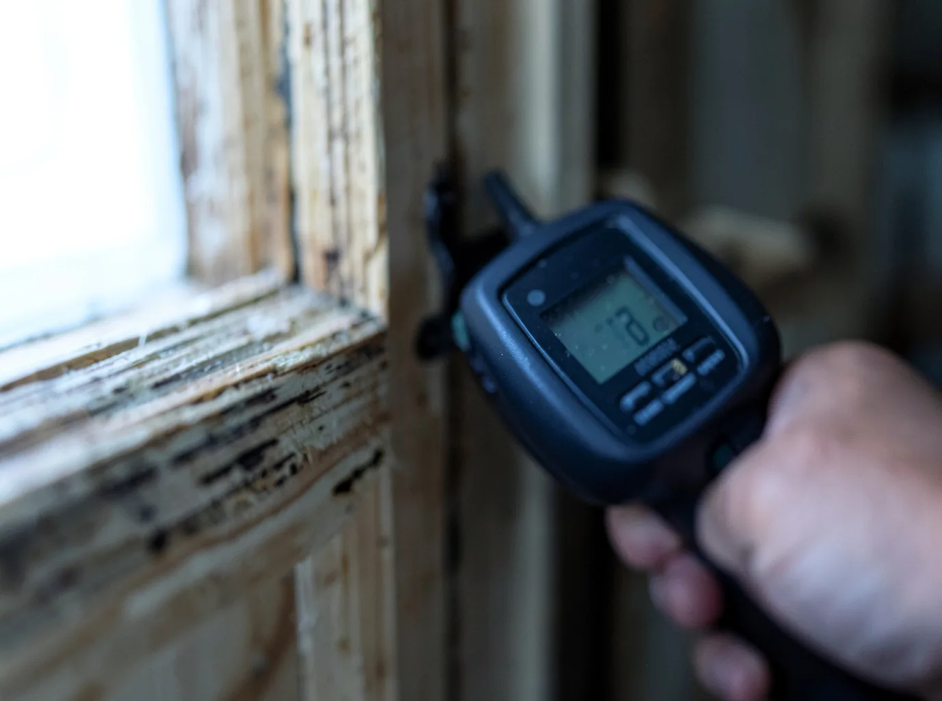 Moisture Inspection And Documentation in Holliday, TX